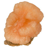 Stilbite #14319