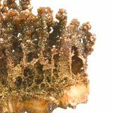 Vanadinite #15167