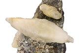 Calcite #15212