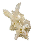 Cerussite #15331