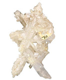 Cerussite #15331