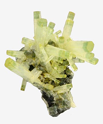 Beryl #16561