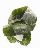 Uvite #16820