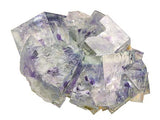 Fluorite #17555