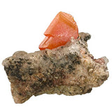 Wulfenite #18054