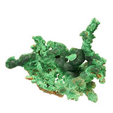 Malachite #18230