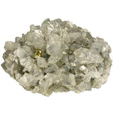 Pyrite #18486