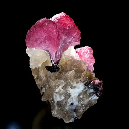 Tourmaline #18506