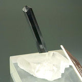 Tourmaline #18649