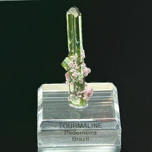 Tourmaline #18656