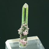 Tourmaline #18656