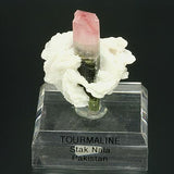 Tourmaline #18751