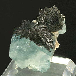 Aquamarine #18816