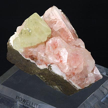 Powellite #18818