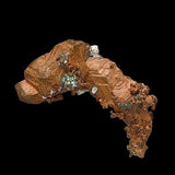 Copper #19262