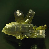 Vesuvianite #19428