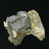 Bornite #19441