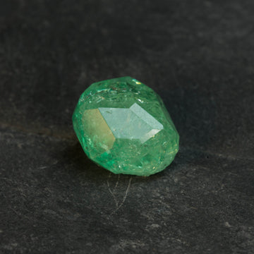 Garnet #21861